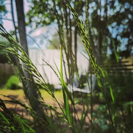 Noortweghe Glamping