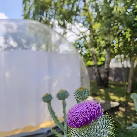 Noortweghe Glamping