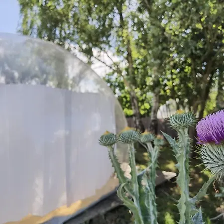 Noortweghe Glamping