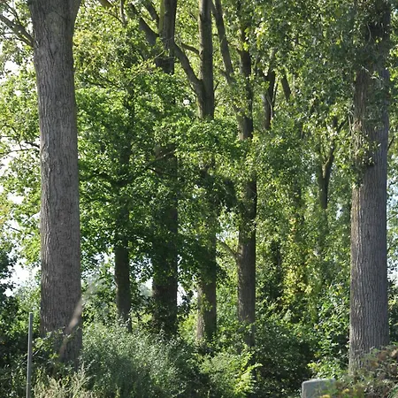 Noortweghe Glamping *