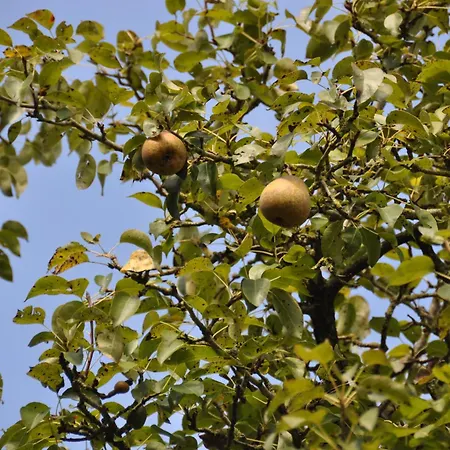 Luxussátor Noortweghe Glamping *