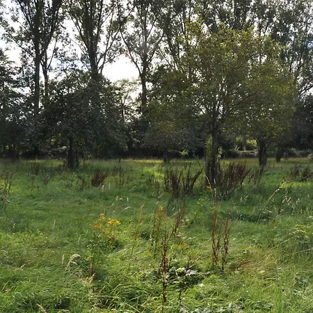 Noortweghe Glamping * Zedelgem