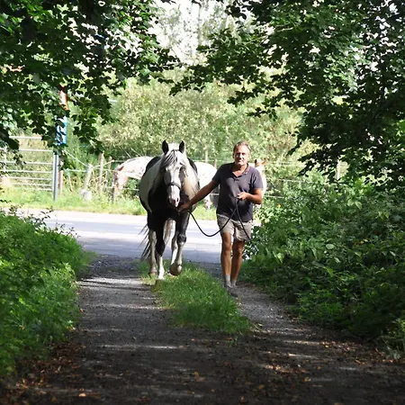 Noortweghe Glamping *