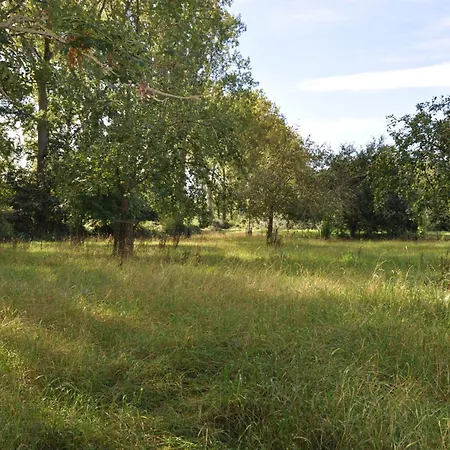 Luxussátor Noortweghe Glamping *