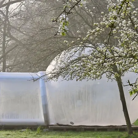Noortweghe Glamping *